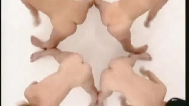 Czarno-białe filmy porn za darmo